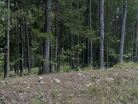 3rd image of 0 County Road 61