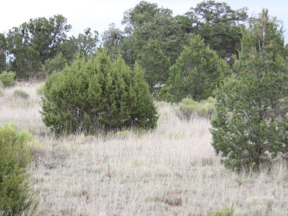 5th image of 646-647 Pine Mdws #4 & 672-673