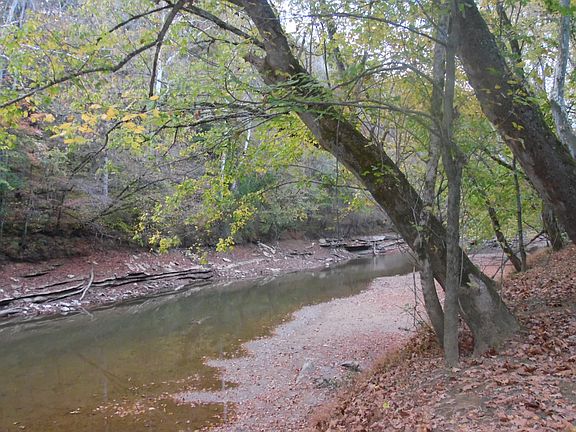 4th image of 1.66ACRES River Club Saddlebrook Dr Lot 16