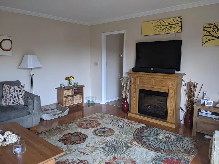 Family Room. Fireplace does not convey.