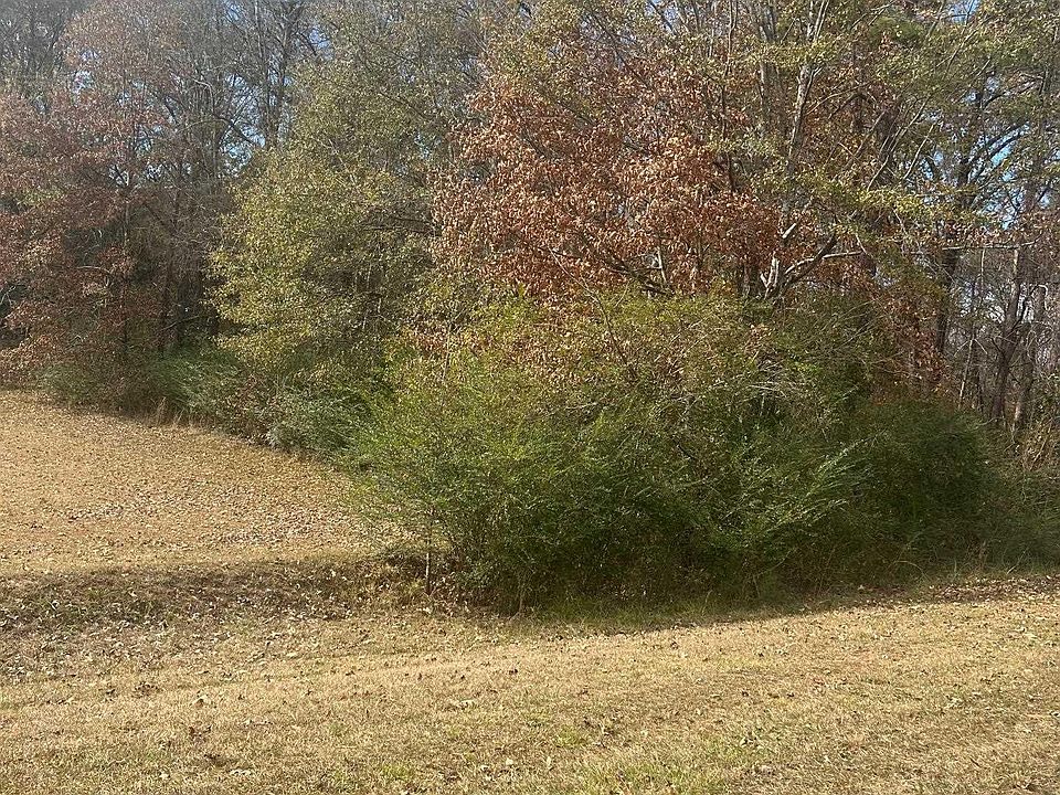 2nd image of 0 Forest Hills Dr #0