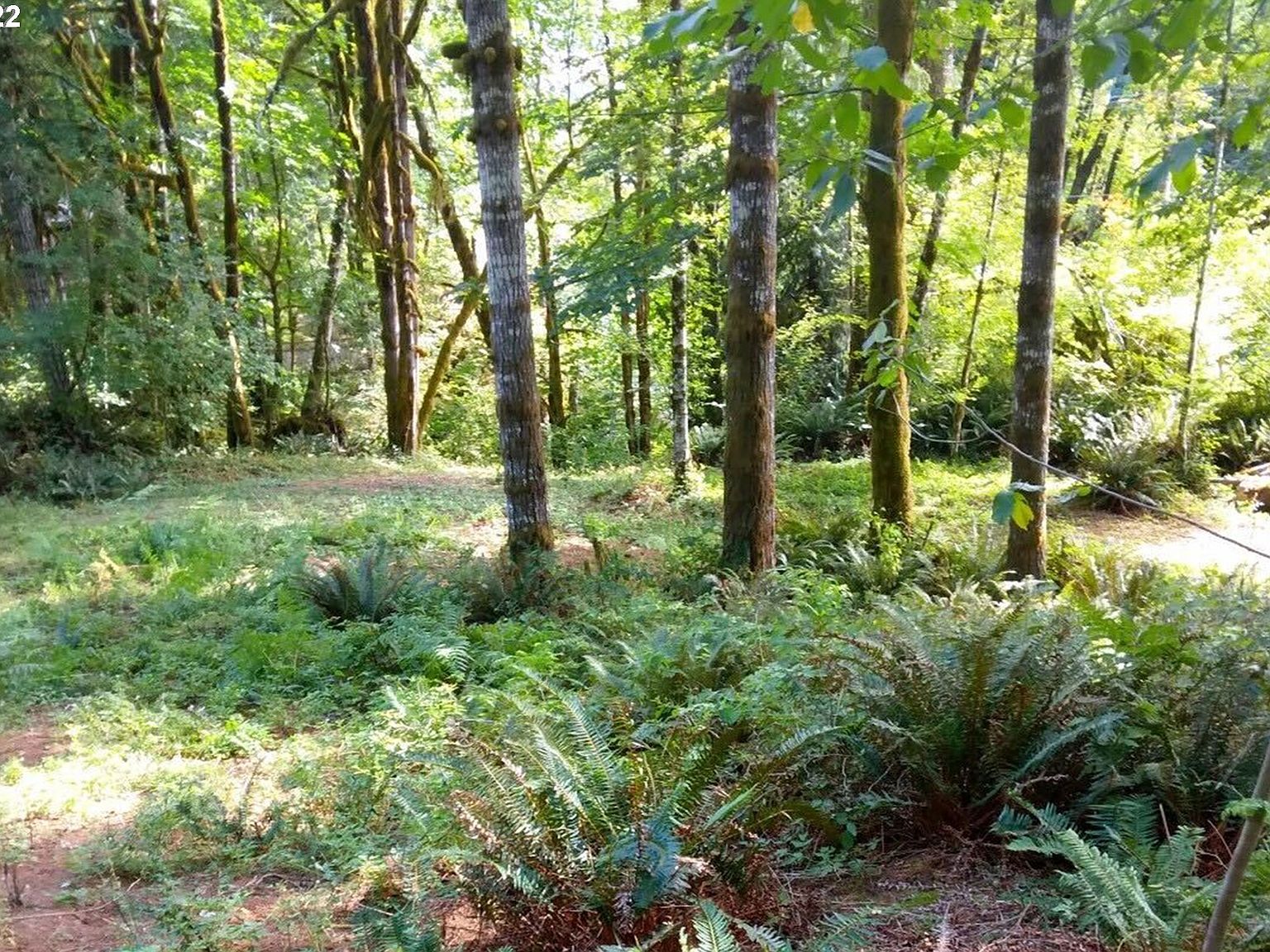 Wilson River Hwy, Tillamook, OR 97141 Zillow