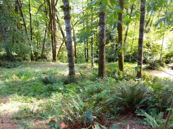 Wilson River Hwy, Tillamook, OR 97141