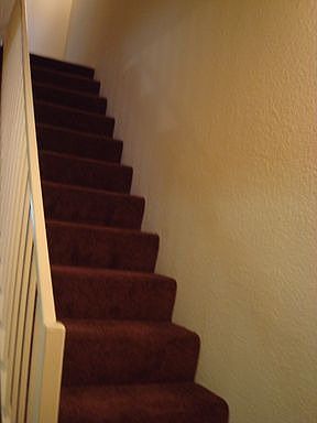 2nd image of 11312 Morrison St APT 2
