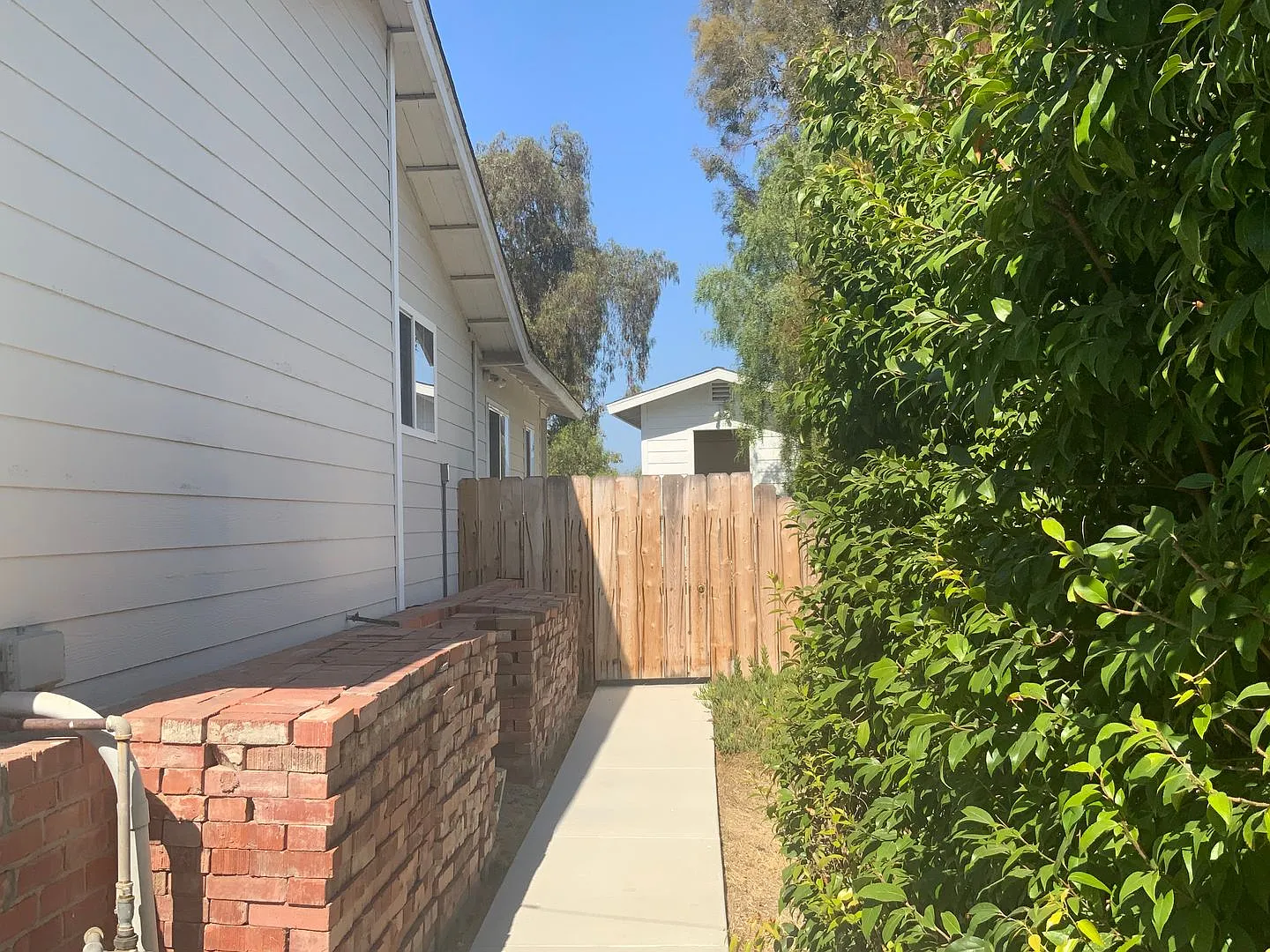 Upgraded Studio with Private Yard — Photo 3