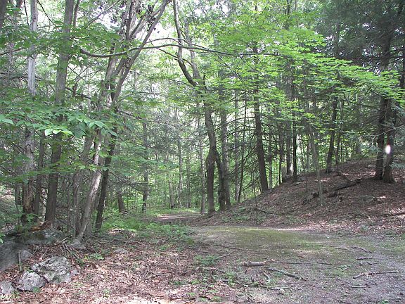 18 Brandy Wine Crossing