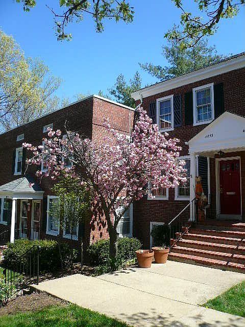 3 Level Clarendon II Model Townhouse