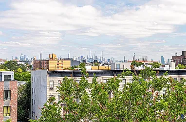 415 Himrod Street, #3F