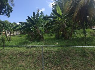0 Cacao LOWR SECTOR, Patillas, PR 00723