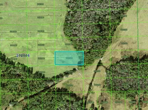 Green Pond Rd #213, Polk City, FL 33868