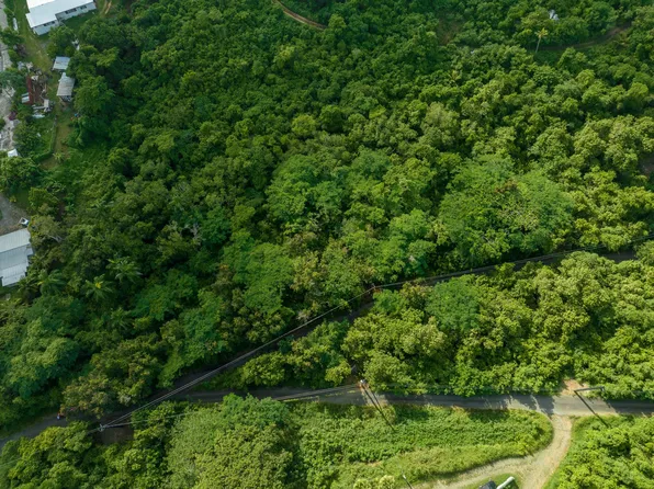 336 Grove Place PR, St. Croix, VI 00840