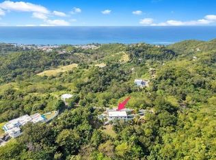 Casa Montana Camino Las Pinas Sector La Joya, Rincon, PR 00677