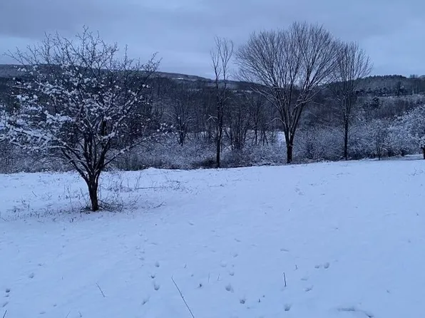 L37 Button Street, Canajoharie, NY 13317