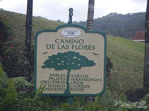 DSCN0485