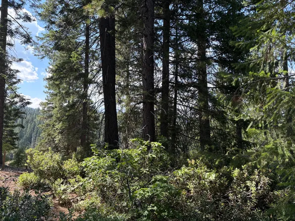 Castle Lake Rd, Mount Shasta, CA 96067