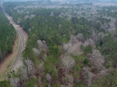 Wesley Chapel Rd, Georgiana, AL, 36033