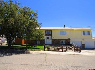 295 NW 10th St, Cedaredge, CO 81413