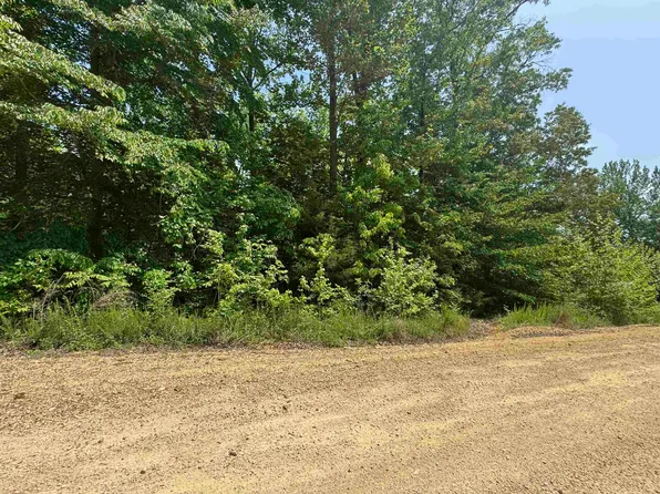 0 Younger Hollow Cemetery Rd #67, Clifton, TN 38425