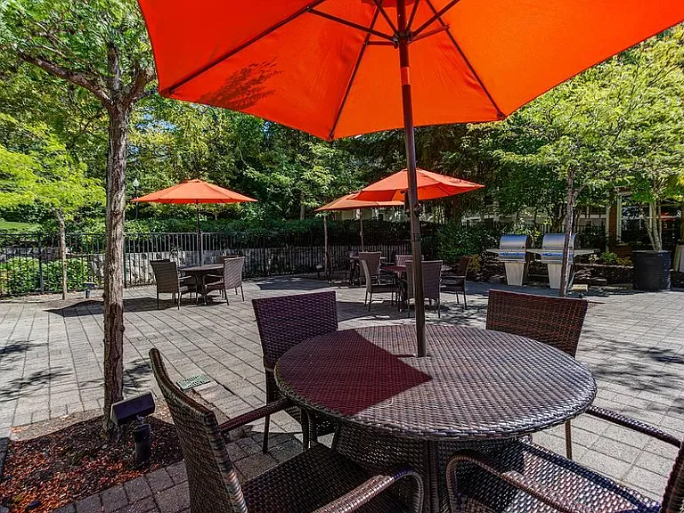 Commons at Verandas in Tanasbourne Apartments — Photo 11