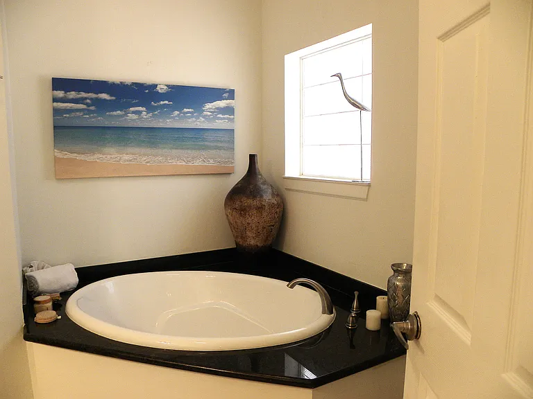 Bathtub in Rear Master Bathroom - Another Egret is standing guard!
