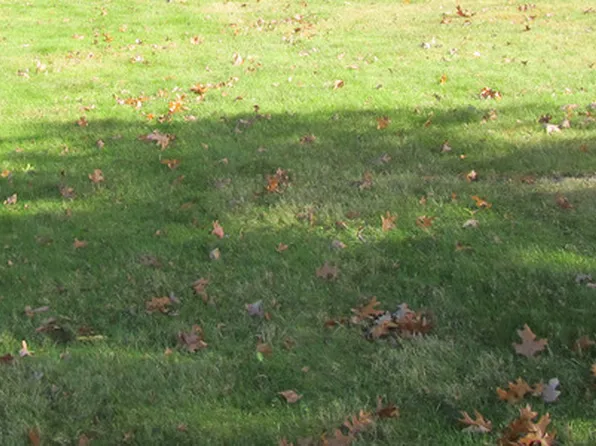 6423 S County Line Rd Lot 3, Willowbrook, IL 60527