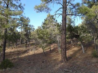 1761 S Canyon Ridge Trl, Show Low, AZ 85901