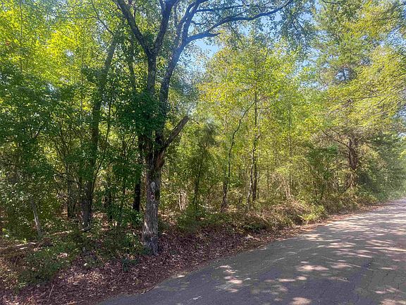 2nd image of Jonquil Rd