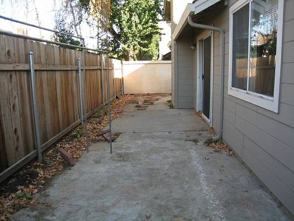 low maintenance backyard