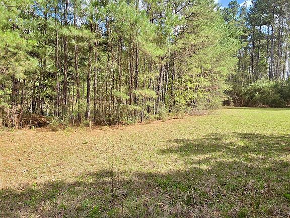 3rd image of 12199 Rouchon Ln