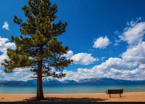 Nevada Beach