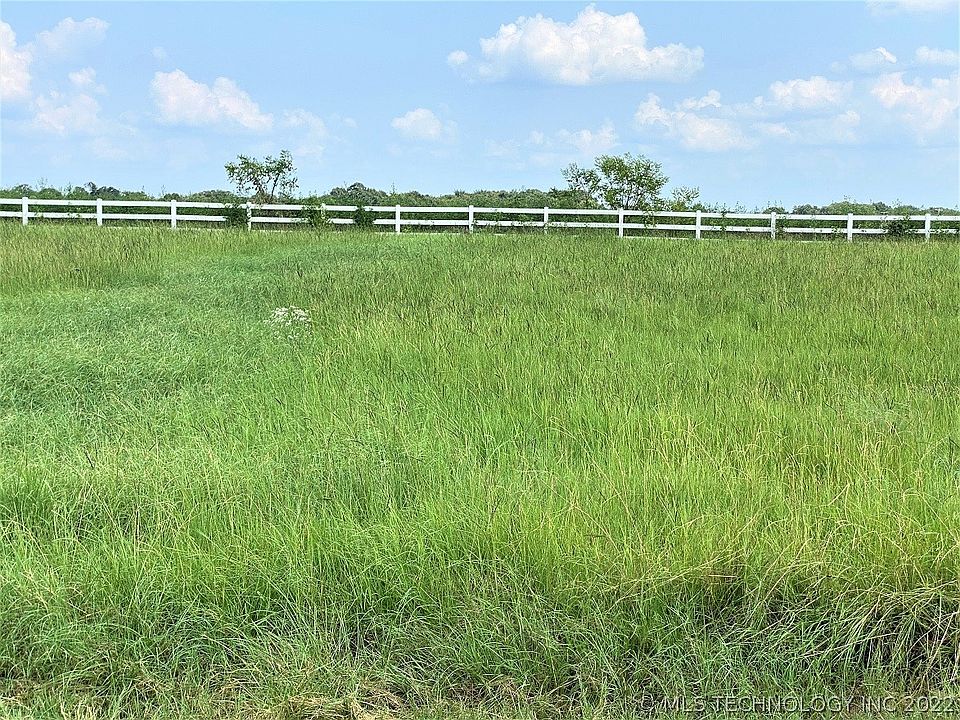 2nd image of Weeping Ln