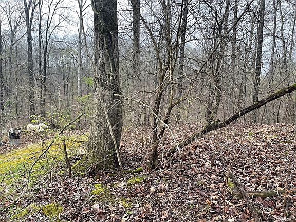 3rd image of 74 Oak Dr