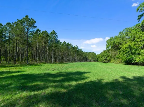 0 NE County Road 1469, Hawthorne, FL 32640