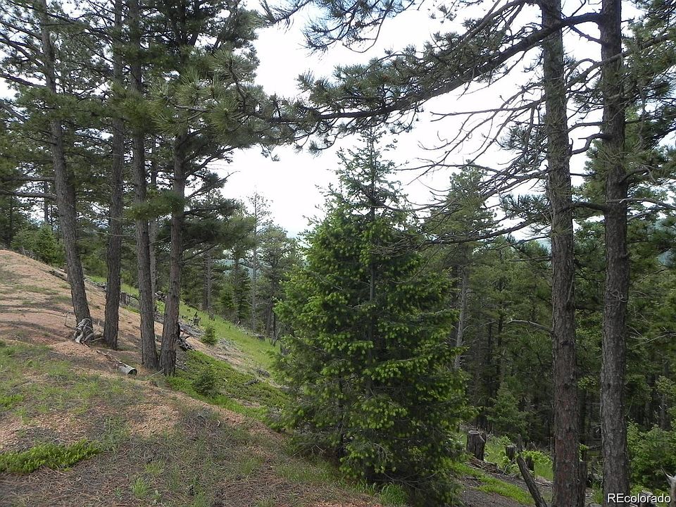 2288 Badger Dr Larkspur CO Zillow