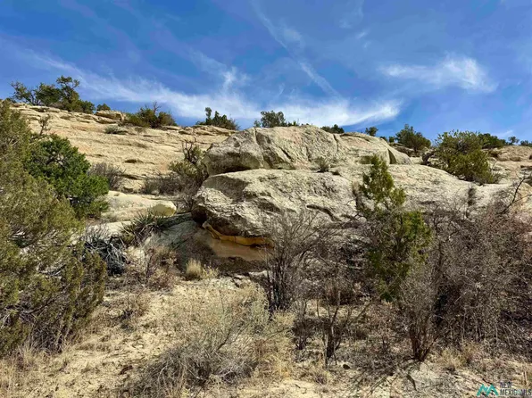 Highway 117, Grants, NM 87020