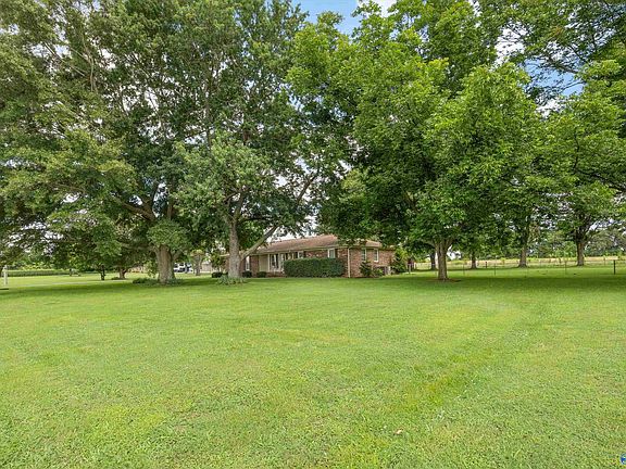 5th image of 1935 Buddy Williamson Rd