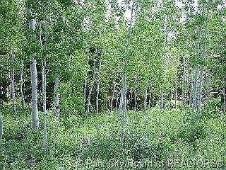 4th image of 143 Pine Meadow Dr #S-143-5