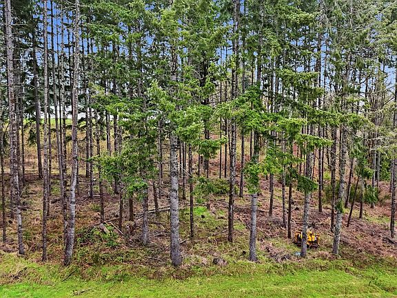 4th image of NW Pumpkin Ridge Rd