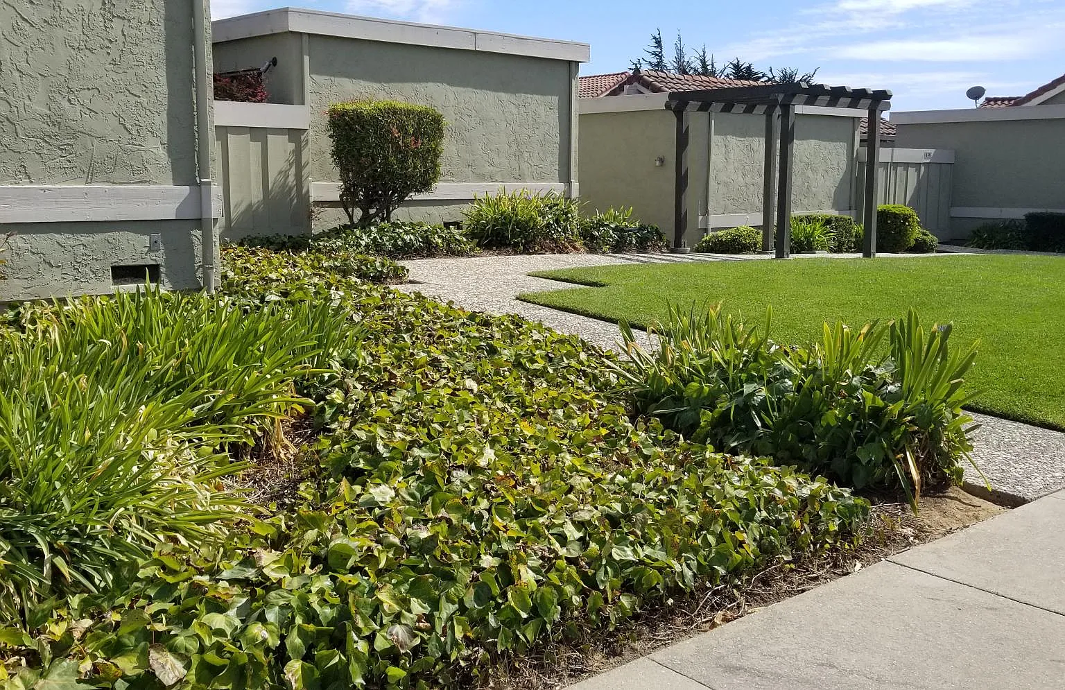 2 bed, 1263 sqft, $3,800 — Photo 2