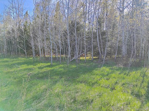 4th image of 19 W Mile Rd