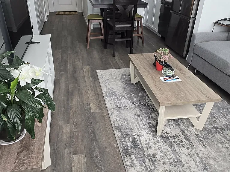 Shared Living Area
