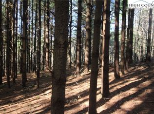 Tbd Pine Swamp Rd, Fleetwood, NC 28626