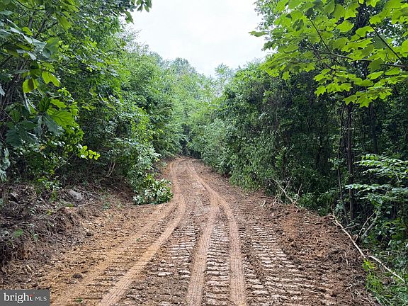 5th image of TRACT 3 2232/acres At 2668 Moss Rd