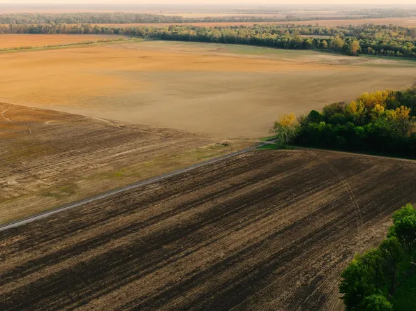 1229 Tar Hill Rd, Dyersburg, TN 38024