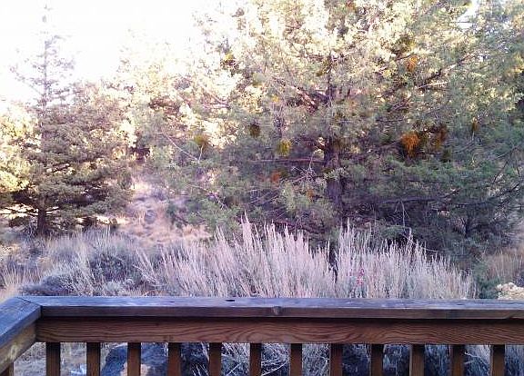 Back Yard View