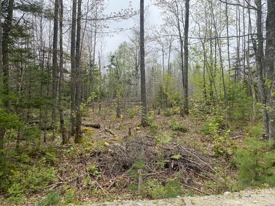 Lot 5 Pret's Meadow Lane, Blue Hill, ME, 04614