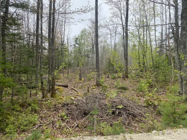 Lot 5 Pret's Meadow Lane, Blue Hill, ME 04614