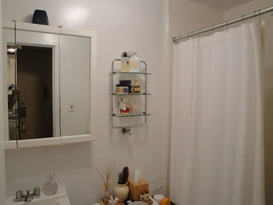 Rented by Citi Habitats | media 31