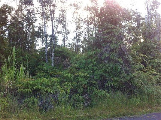 2nd image of 36th Ave Lot 23
