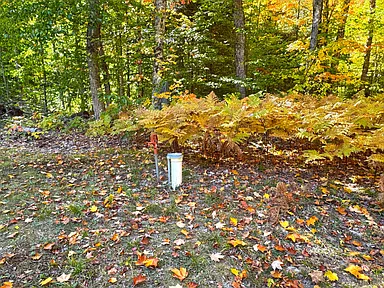 Property photo 37
